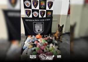 Cão farejador do BAEP encontra esconderijo subterrâneo com 23 kg de drogas em Osasco