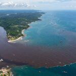 O mistério das águas do Rio Congo que desafiam a ciência no Oceano Atlântico