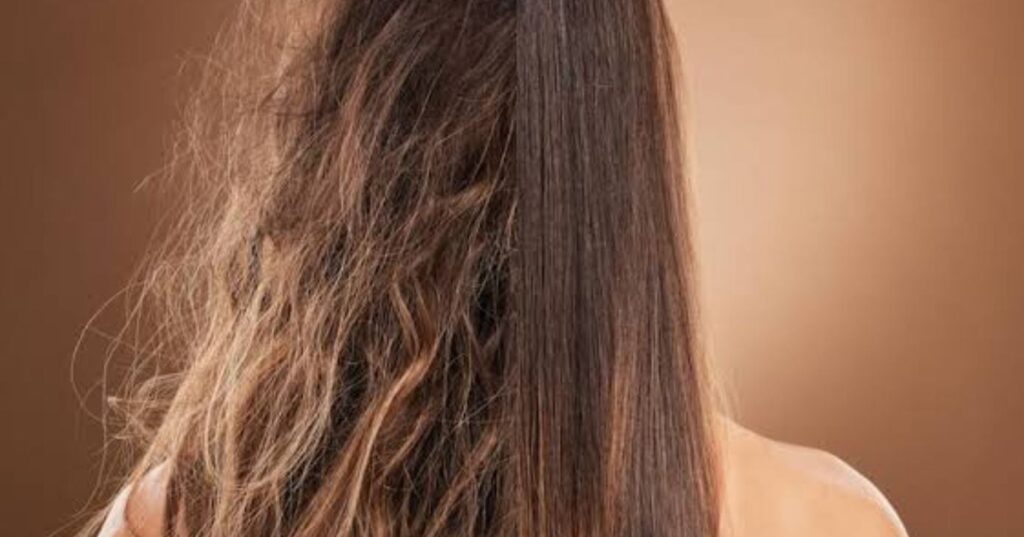 Óleo de argan e óleo de coco: o segredo natural para eliminar o frizz dos cabelos