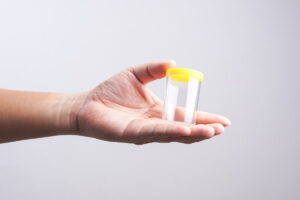 Sêmen: entenda a composição, as funções e o que as alterações indicam para a saúde