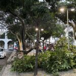 Vendaval no Rio de Janeiro deixa milhares sem energia e causa destruição na capital