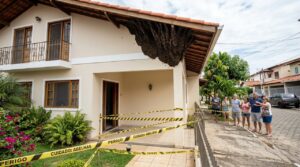 Abelhas em casa: como agir diante de um enxame e o que sua presença revela