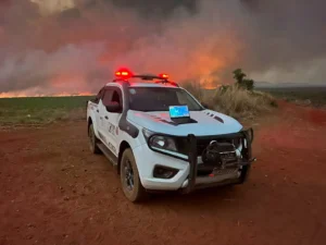 Alerta de incêndio: Defesa Civil de SP adverte sobre risco elevado com calor e baixa umidade