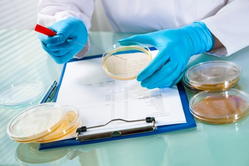 Candida auris: o desafio do superfungo que preocupa autoridades de saúde