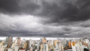 Ciclone em SP: estado entra em alerta máximo com previsão de ventos de até 100 km/h