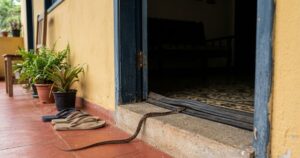 Como evitar a entrada de cobras em casa: medidas preventivas essenciais