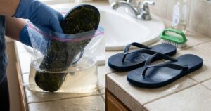 Como limpar chinelo encardido: técnica simples remove limo e mofo sem esforço
