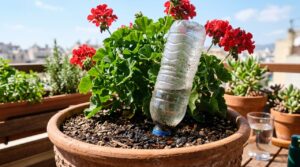 Como usar garrafa PET para manter plantas hidratadas em dias de calor extremo