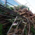 Crise climática impõe novos desafios à resiliência da rede elétrica no Brasil