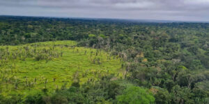 Desmatamento é nulo em 60% das terras indígenas da Amazônia, aponta estudo do Imazon