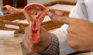 Endometriose recebe investimento de R$ 60 milhões para pesquisas no SUS