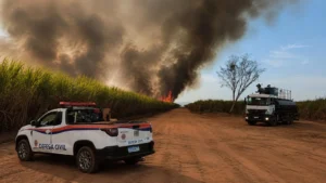 Entenda o fenômeno quatro-trinta que coloca o interior de São Paulo em alerta máximo para incêndios
