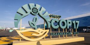 Estados do Nordeste buscam investimentos para a Caatinga durante a COP17 na Mongólia