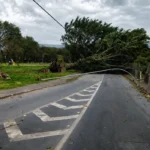 Frente fria traz risco de ventania e chuva para São Paulo no fim de semana