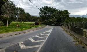 Frente fria traz risco de ventania e chuva para São Paulo no fim de semana
