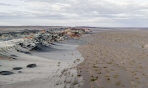 Fungos subterrâneos: a chave invisível para restaurar solos e combater a crise climática