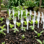Garfos de plástico no jardim: entenda a estratégia inusitada para proteger suas plantas