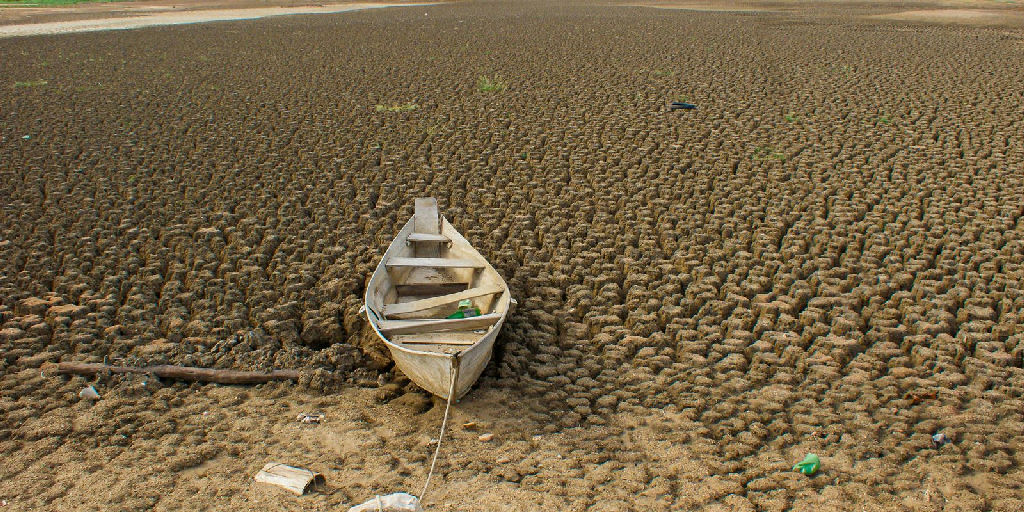 Governo brasileiro assume meta de recuperar 163 mil km² de áreas degradadas até 2030 na COP17