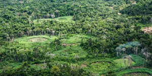 Indígenas e cientistas unem saberes para mapear biodiversidade na Amazônia