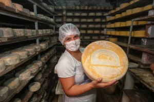 Inspeção de produtos animais: saiba como os selos protegem a sua saúde e o mercado