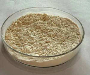 Ital desenvolve proteína de alto valor a partir do feijão carioca para a indústria nacional