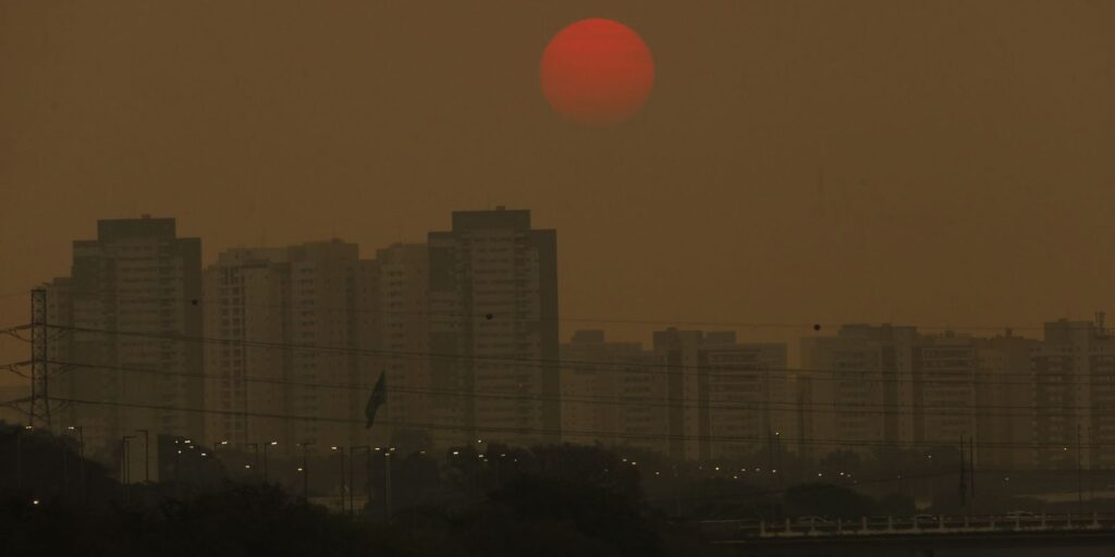 Observatório do Clima aponta 37 caminhos para o Brasil cortar emissões de metano e frear o clima