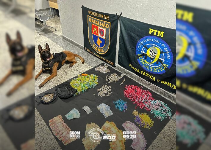 Operação com cães resulta na apreensão de quase um quilo de entorpecentes na capital