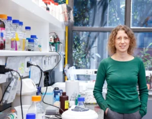 Pesquisa da USP revela método que substitui reposição hormonal com mais segurança na menopausa