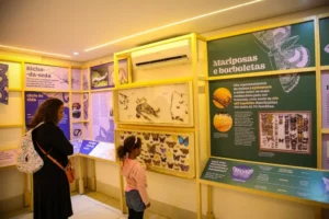 Planeta Inseto oferece imersão gratuita no mundo dos pequenos seres em São Paulo