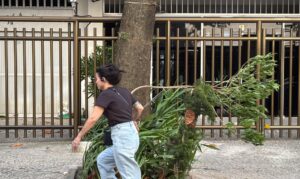 Rio de Janeiro entra em alerta devido a rajadas de vento que podem atingir 75 km/h