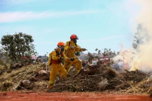 Secretaria de Agricultura alerta produtores paulistas sobre risco de incêndios com onda de calor