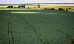 Senado aprova plano para impulsionar produção nacional de fertilizantes