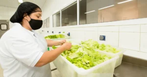 Setor de alimentação em São Paulo abre 914 vagas de emprego nesta segunda-feira