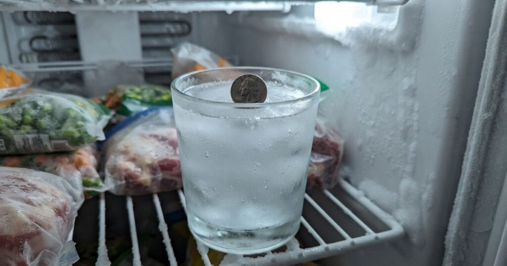 Truque da moeda no freezer: como saber se a comida estragou durante sua viagem