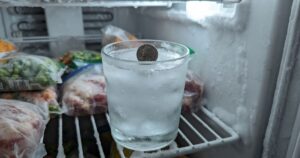 Truque da moeda no freezer: como saber se a comida estragou durante sua viagem