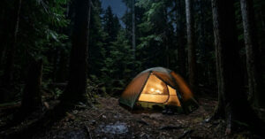 Acampamento na mata: como um descuido simples atraiu um visitante noturno