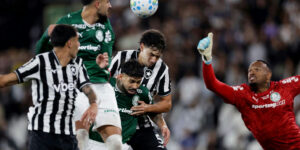 Botafogo empata com Palmeiras e Flamengo assume a liderança do Brasileirão