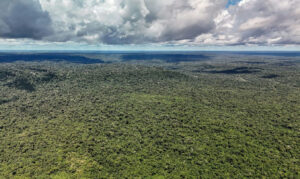 Brasil garante US$ 1 bilhão do BID para impulsionar o Eco Invest e a transição ecológica