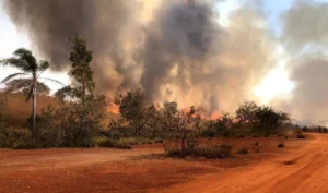 Como abrir aceiros e proteger propriedades rurais contra o avanço de incêndios
