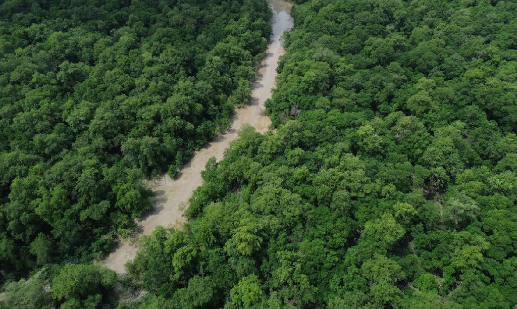 Eleições 2026: campanha mobiliza eleitores pela preservação da Amazônia