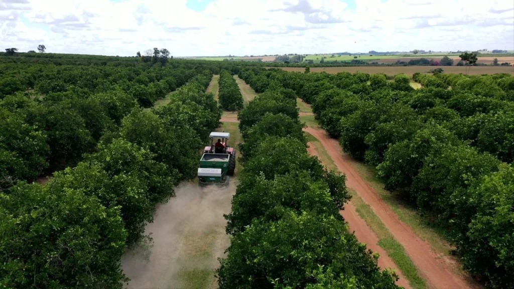 Manejo do solo: práticas essenciais para proteger lavouras das chuvas intensas