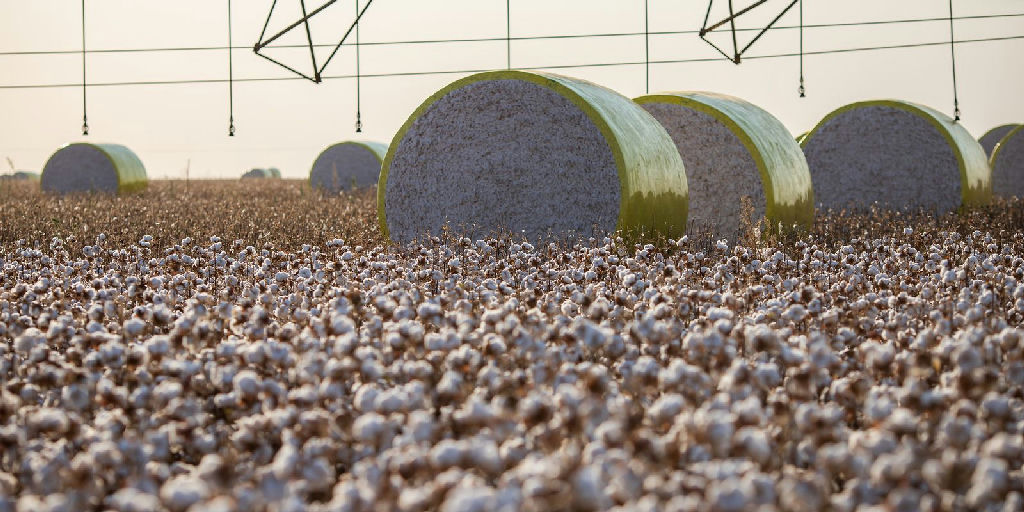 Mudança territorial tira Sorriso do topo da produção agrícola nacional