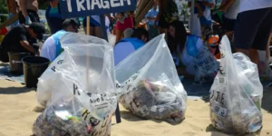 Mutirões de limpeza mobilizam voluntários em praias de cinco estados brasileiros
