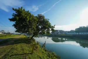 Novo método da USP mapeia áreas urbanas mais resilientes a inundações