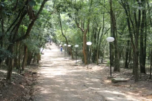 Parques urbanos de São Paulo oferecem atividades gratuitas de educação ambiental no feriado