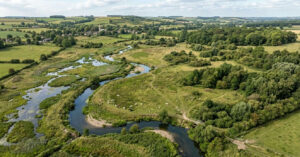 Projeto de recuperação ambiental na Inglaterra eleva biodiversidade em 108%