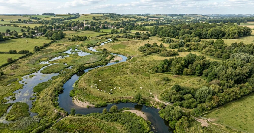 Projeto de recuperação ambiental na Inglaterra eleva biodiversidade em 108%