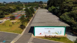 Virada Esportiva 2026 leva programação gratuita para espaços públicos de São Paulo