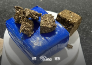 Ação da Polícia Militar em Anhembi resulta na apreensão de mais de 250 gramas de maconha e prisão por tráfico