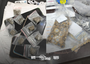 Ação policial integrada resulta em prisão por tráfico em Castilho